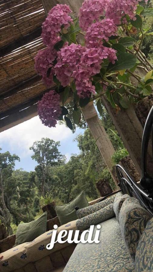 Maison D'Hotes "Abou-Hachem" Melaah Bagian luar foto